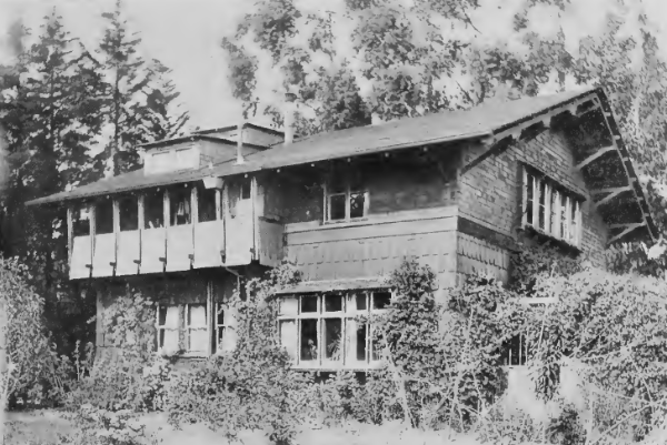 California Home in the Spirit of a Swiss Chalet