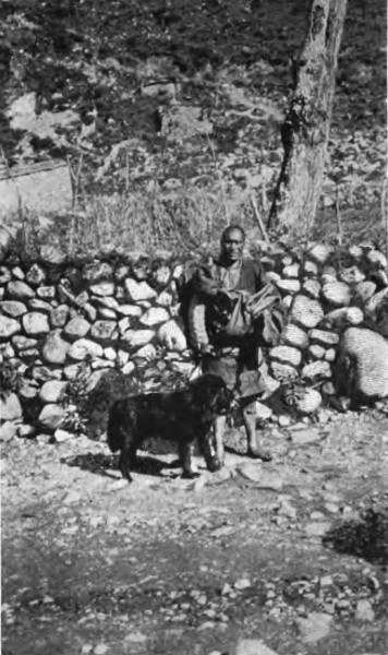 LAMA AND DOG AT TACHIENLU